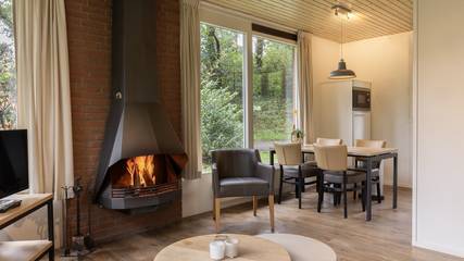 Bungalow voor 4 Personen in Putten, Veluwe, Afbeelding 3