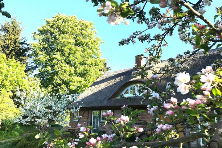 Ganze Wohnung, Ferienwohnung Pfarrhof in Garz/Rügen, Rügen