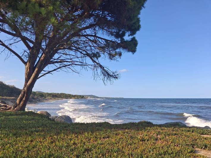 Chalé « Notre Rêve en Bord de Mer » com piscina partilhada, Wi-Fi e ar condicionado in Moriani-Plage, Corte (Região)