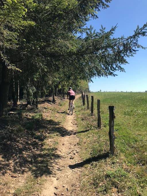 Location de vacances pour 12 personnes, avec jardin, animaux acceptés à Bastogne - 2