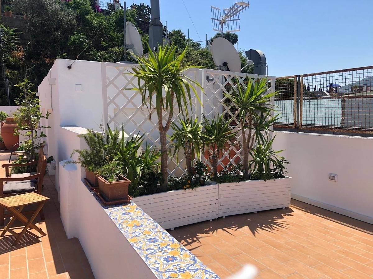 Molo35 in Ischia Porto, Ischia