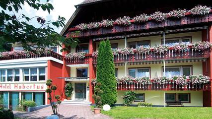 Hôtel pour 2 personnes, avec balcon et sauna dans Bad Peterstal