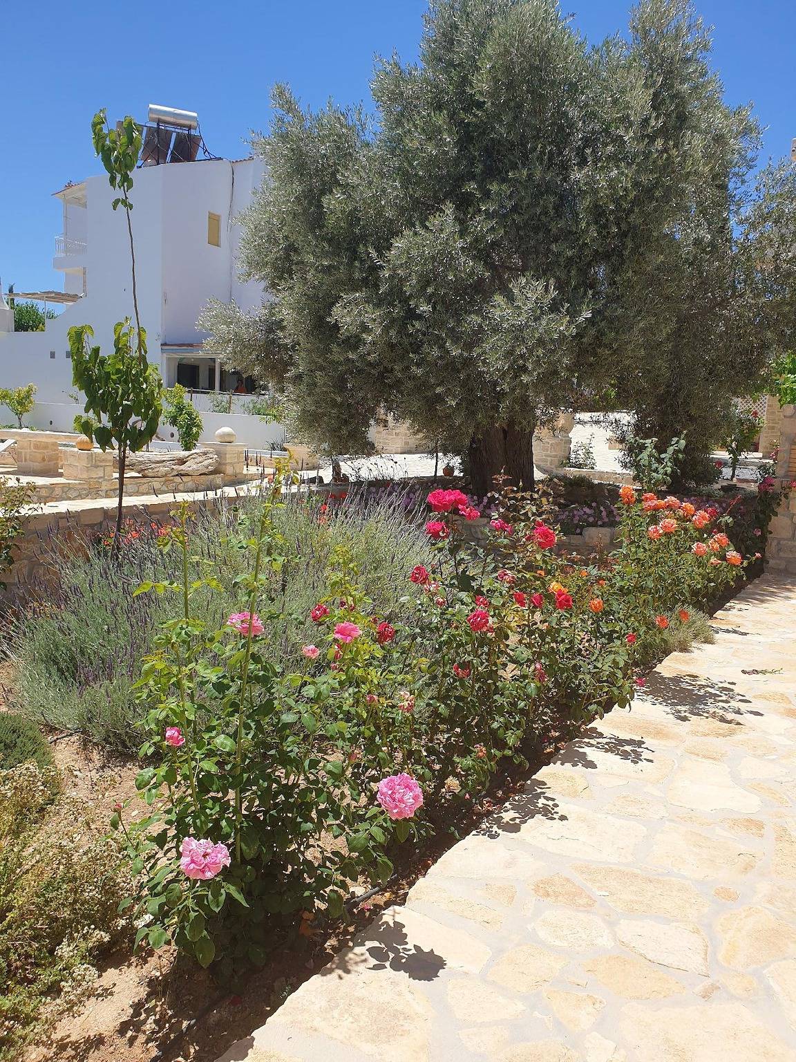 Ferienhaus "Villa Efthalia" mit Bergblick in Pitsidia, Iraklio-Heraklion und Umgebung