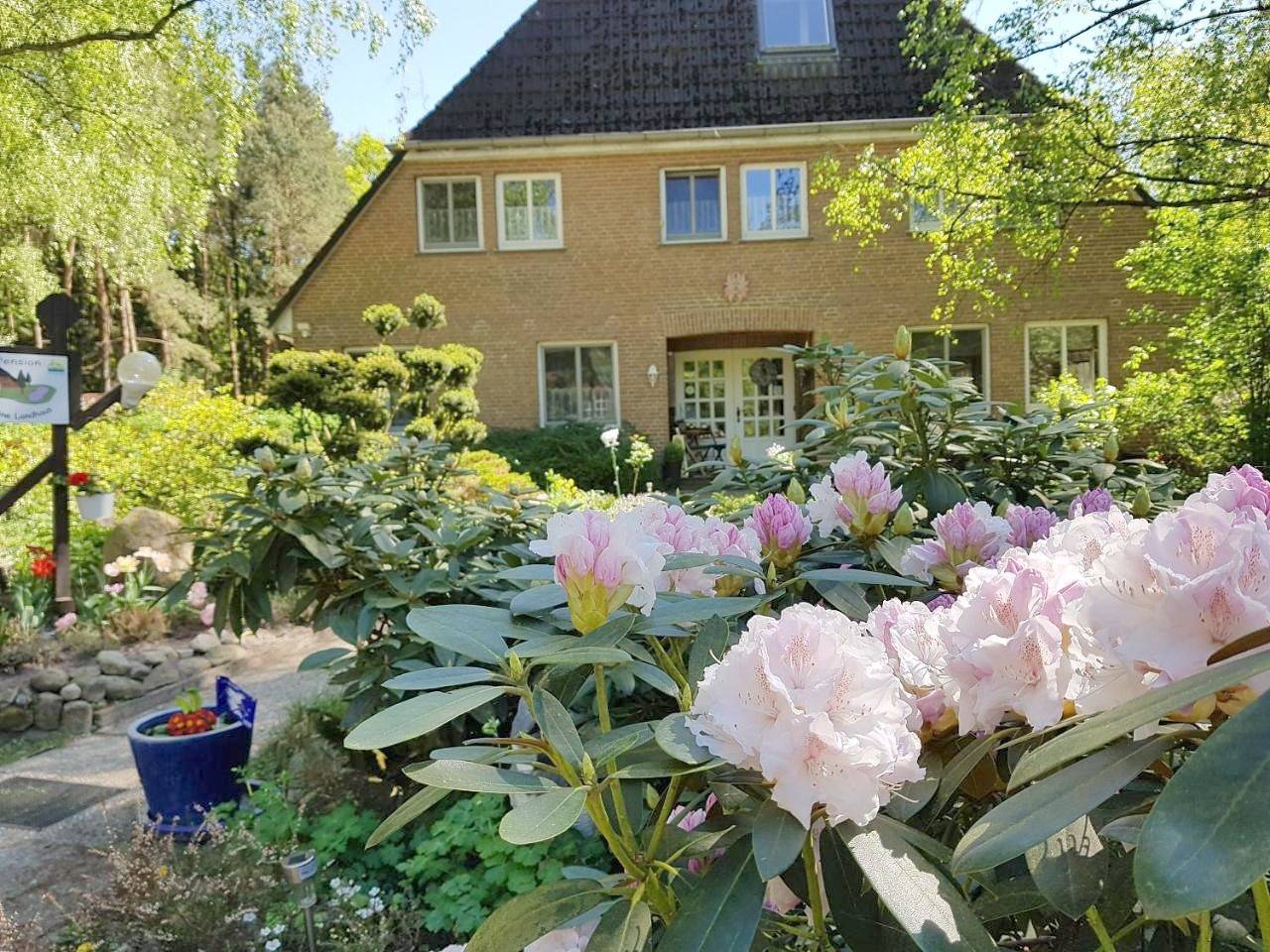 Pension 'Das kleine Landhaus' in Bispingen, Nordheide