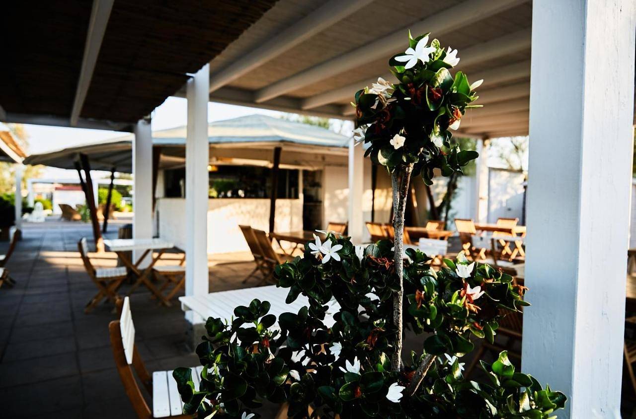Hotel Enterprise in Montalto Marina, Montalto di Castro