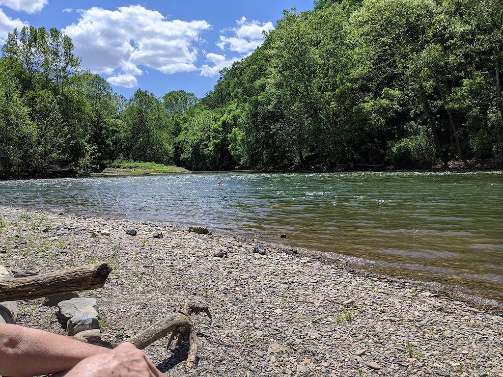 4-bedroom Vacation Cabin on 50 Private Acres in Seneca Rocks