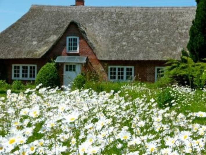 Ferienhaus für 6 Personen, mit Garten, mit Haustier in Lensahn - 2