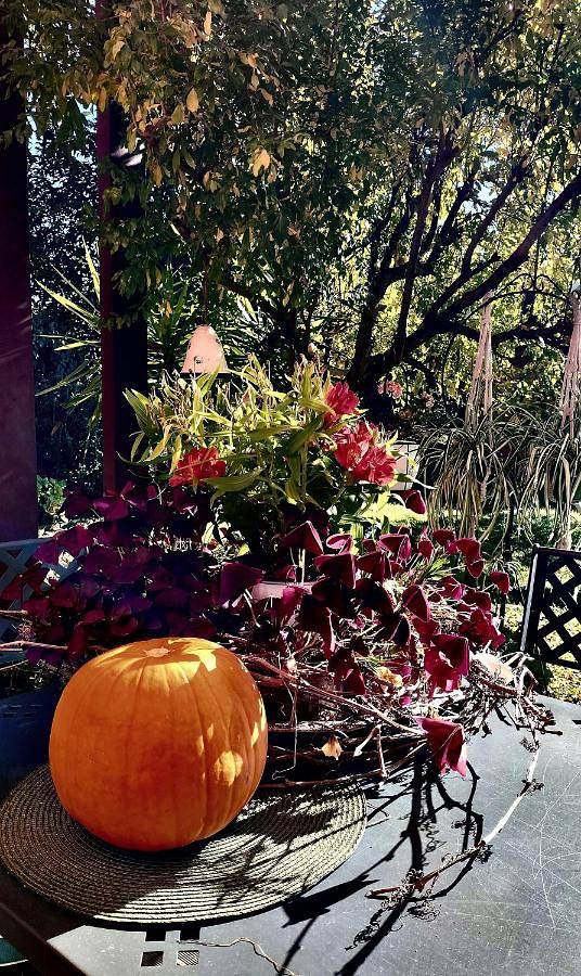 Location de vacances pour 4 personnes, avec jardin et sauna à Pederobba - 4