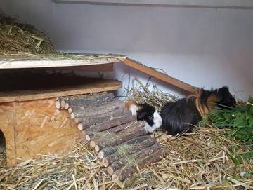 Ferienhaus für 6 Personen in Tarp, Eider-Treene-Sorge, Bild 4