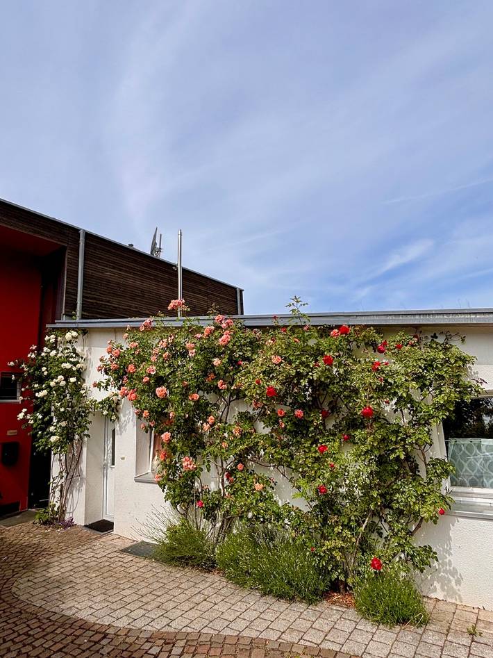 Geheel appartement, Vakantiewoning "Rosenrot" aan de Bodensee met Wi-Fi & Terras in Überlingen, Region Bodensee-Oberschwaben