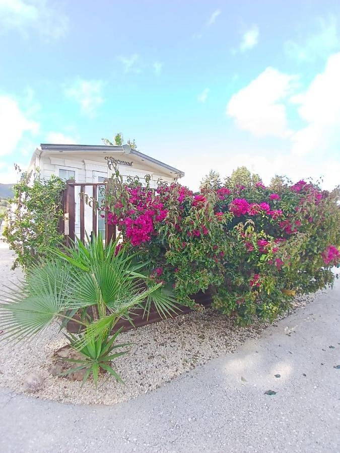 Camping pour 4 personnes, avec piscine ainsi que vue et jardin, animaux acceptés sur la Costa del Sol - 3