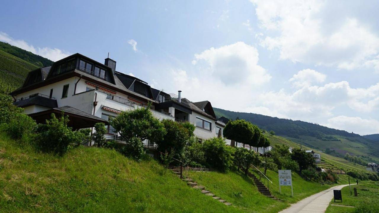 Hotel garni "Café im Hamm" in Zell Stadt (Mosel), Zell (Mosel)