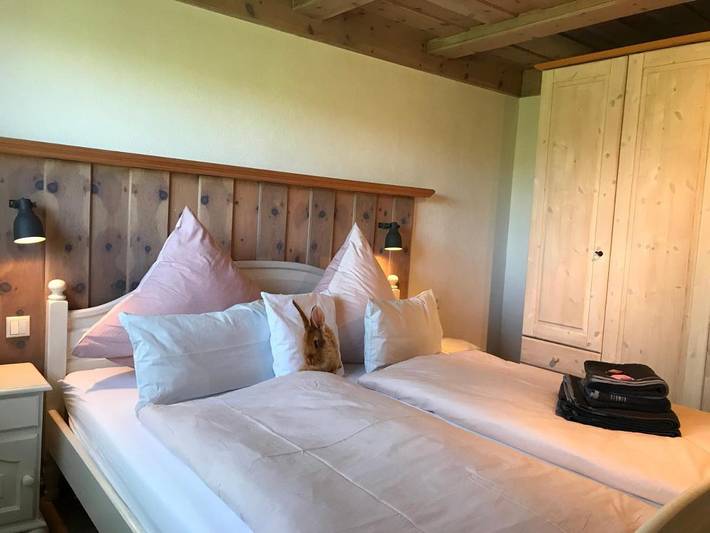 Gîte pour 5 personnes, avec jardin et vue, adapté aux familles à Bad Wurzach - 2