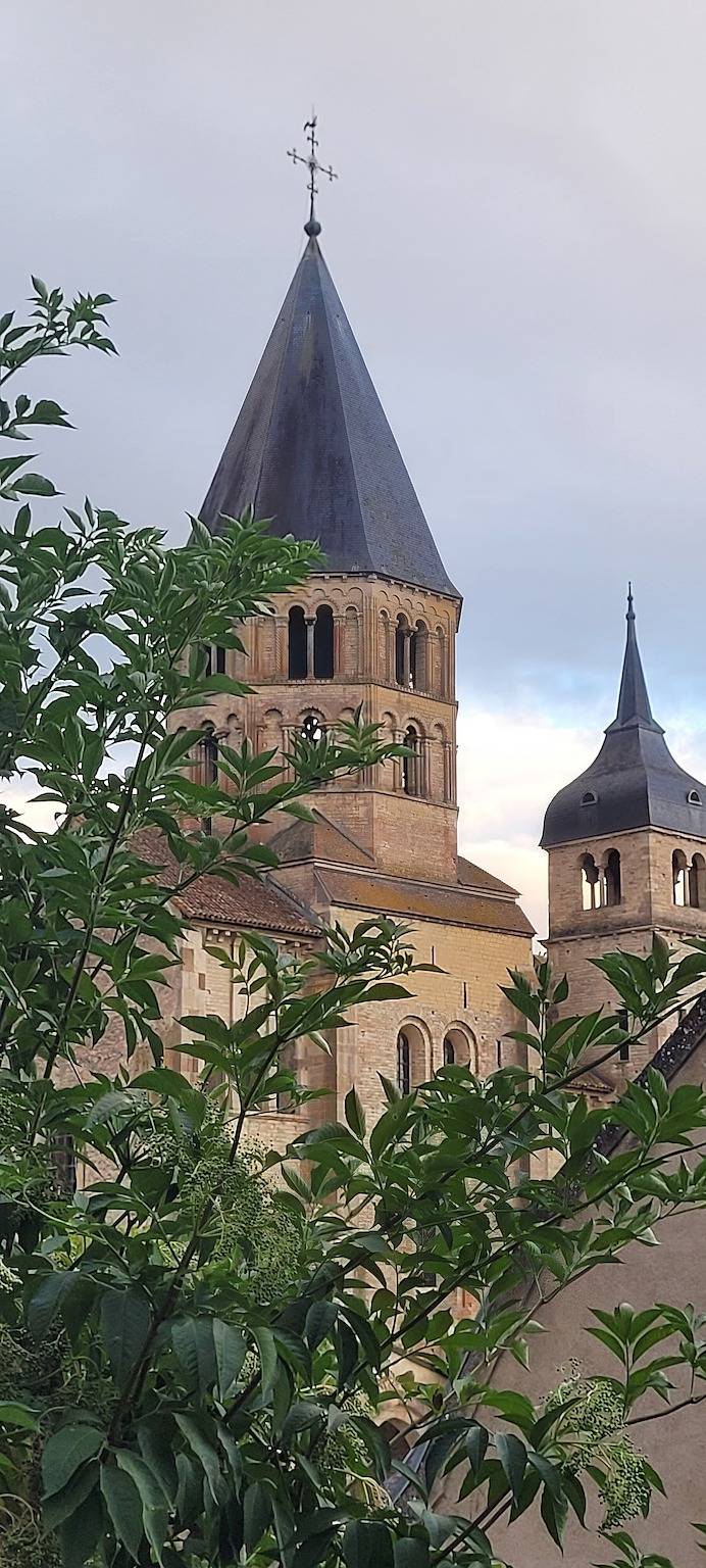 'Chambre Déco Cluny' avec jardin partagé et Wi-Fi in Cluny, Région de Mâcon