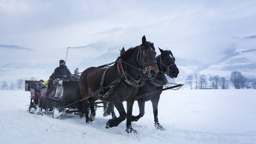 Ferienhaus für 9 Personen, mit Sauna und Garten in Uttendorf - 3