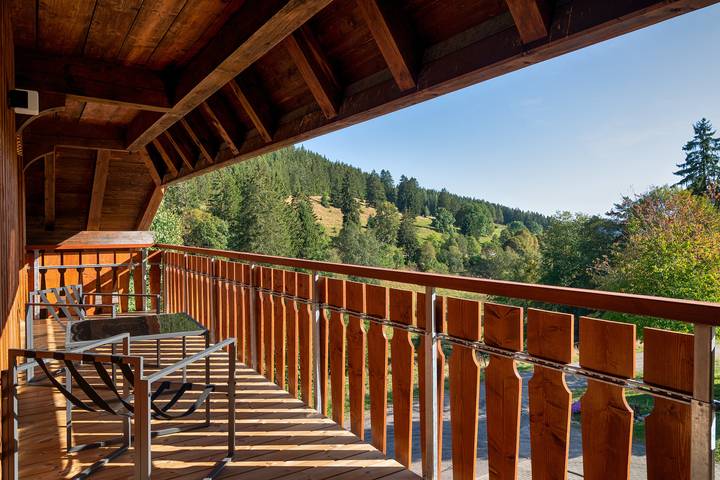 Ferienwohnung für 8 Personen, mit Garten und Balkon, kinderfreundlich in Schluchsee - 3