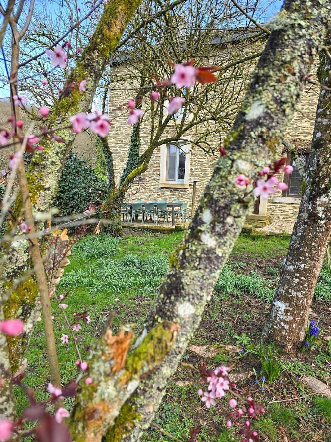 Maison de vacances pour 10 personnes, avec terrasse et jardin, animaux acceptés à Vresse-sur-Semois