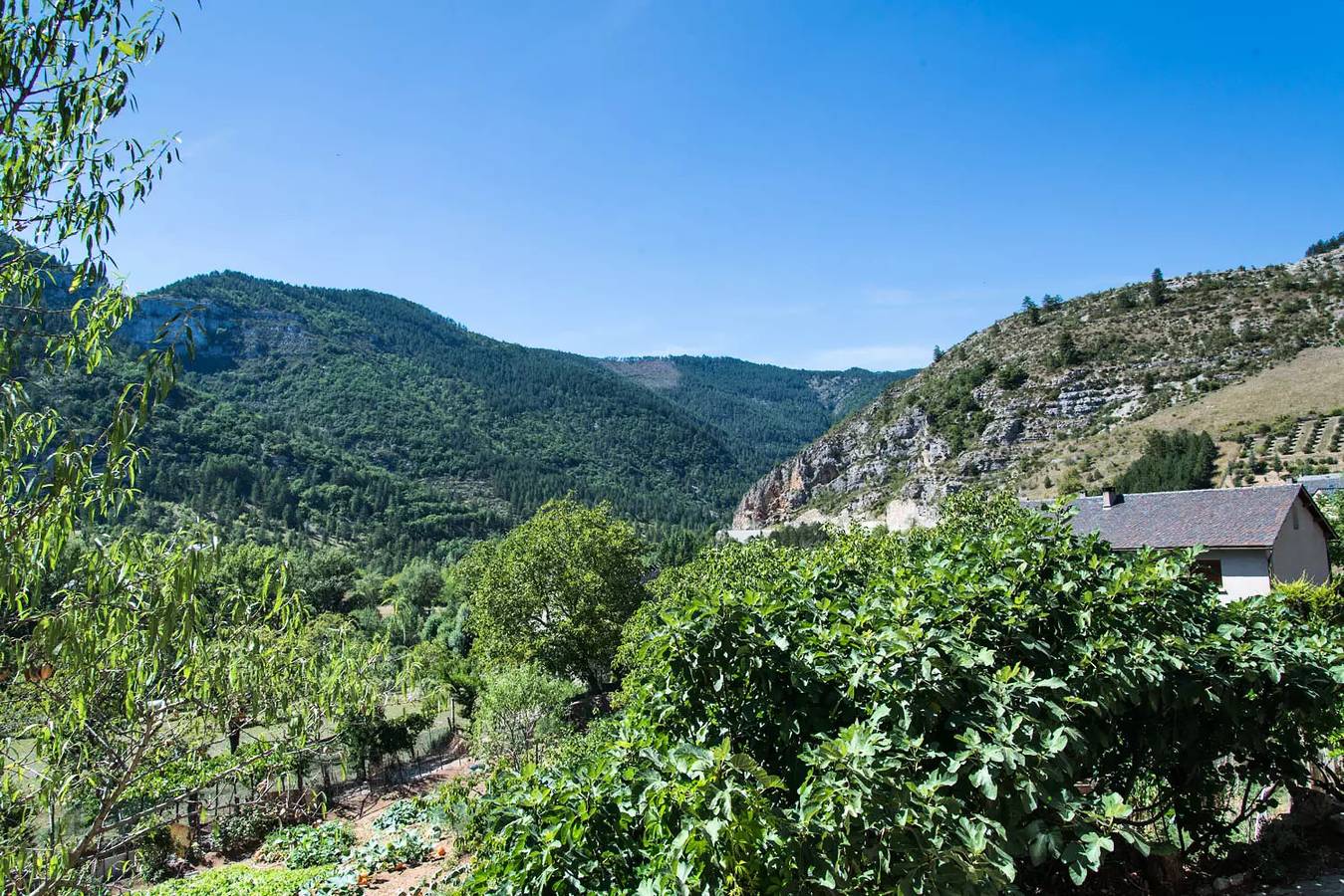 Gite de France 4 personas in Quézac, Cevenas