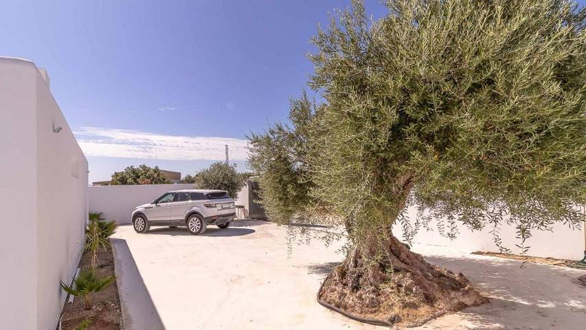 Casa rural para 8 personas, con piscina y terraza en Campiña de Morón y Marchena - 3