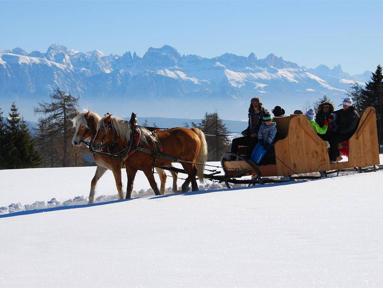 Ganze Ferienwohnung, Oberfahrer Hof - Wohnung Haflinger in Flaas, Jenesien