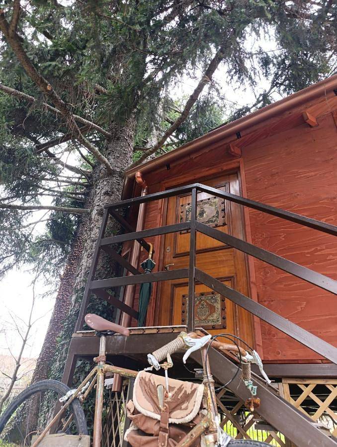 Casetta sull'albero in Borgo San Dalmazzo, Province de Coni