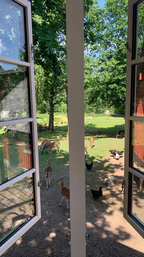 Ferienhaus für 2 Personen, mit Pool und Garten sowie Seeblick und Sauna, mit Haustier in Skane - 4