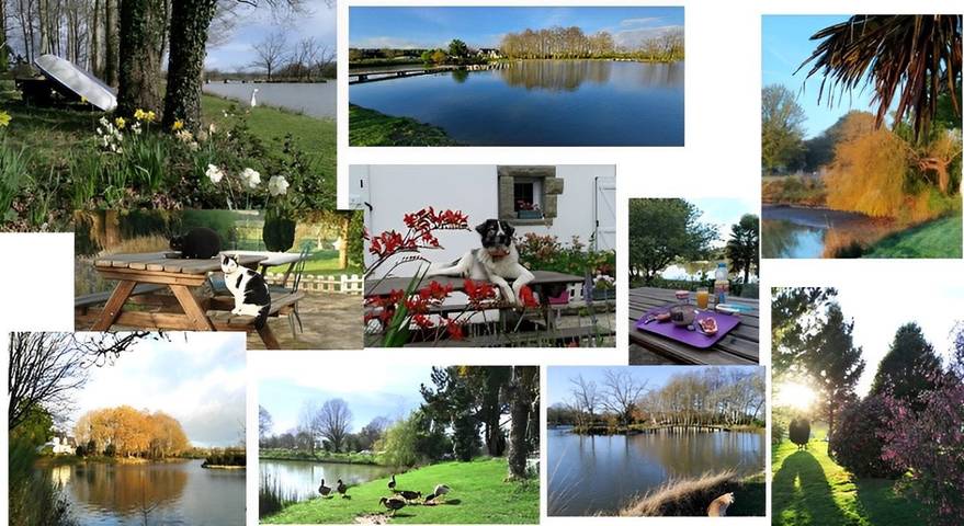 Chambre d’hôte pour 2 personnes, avec jardin et vue sur le lac