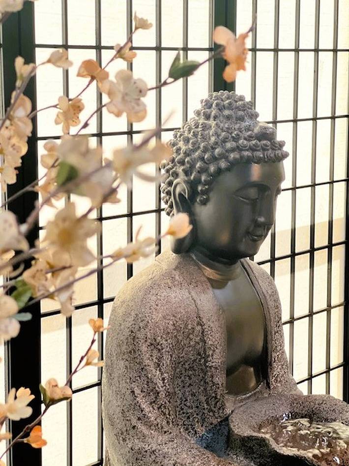Zen asiático con jacuzzi, cocineta, cerca de Victoria Sq in Sparks, Nevada (Estados Unidos)