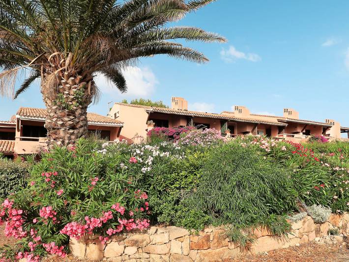 Ferienwohnung für 4 Personen, mit Terrasse in Palau (Sardinien) - 2