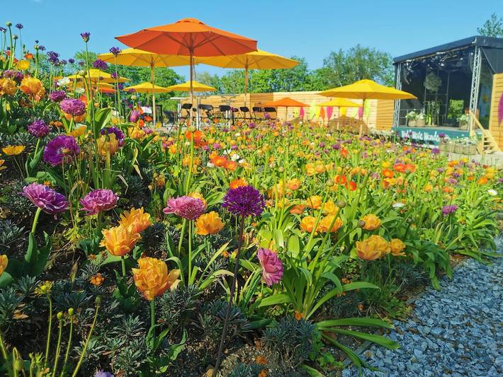 Ferienhaus für 4 Personen, mit Garten und Pool sowie Sauna und Balkon in Bayern - 3