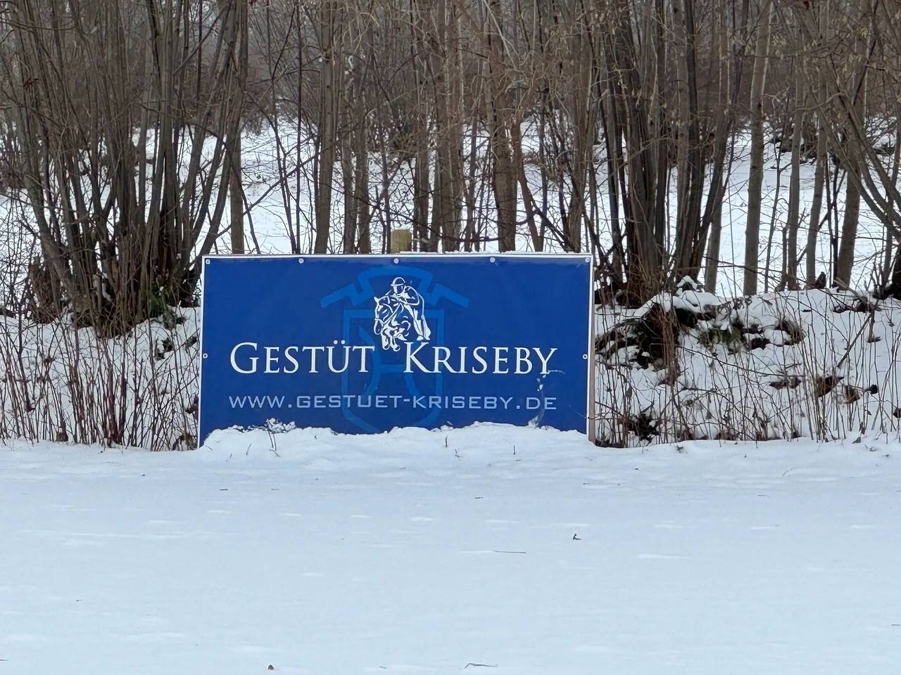 Ganze Wohnung, Apartment 'Niemark Gestüt Kriseby' mit Gemeinschaftsterrasse und Wlan in Sankt Jürgen, Lübeck