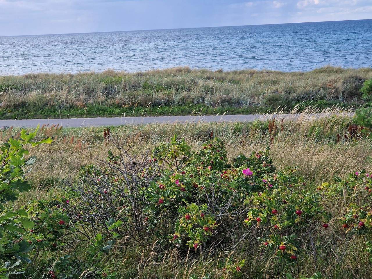 Luxus-Ruckzug mit Pool -- By Traum Ferienwohnungen in Fjellerup Strand, Djursland