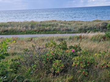 Vakantiehuis voor 12 Personen in Glesborg, Norddjurs, Afbeelding 4