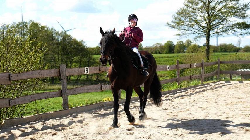 Bauernhof für 5 Personen, mit Terrasse und Garten, mit Haustier in Schleswig-Holstein - 4