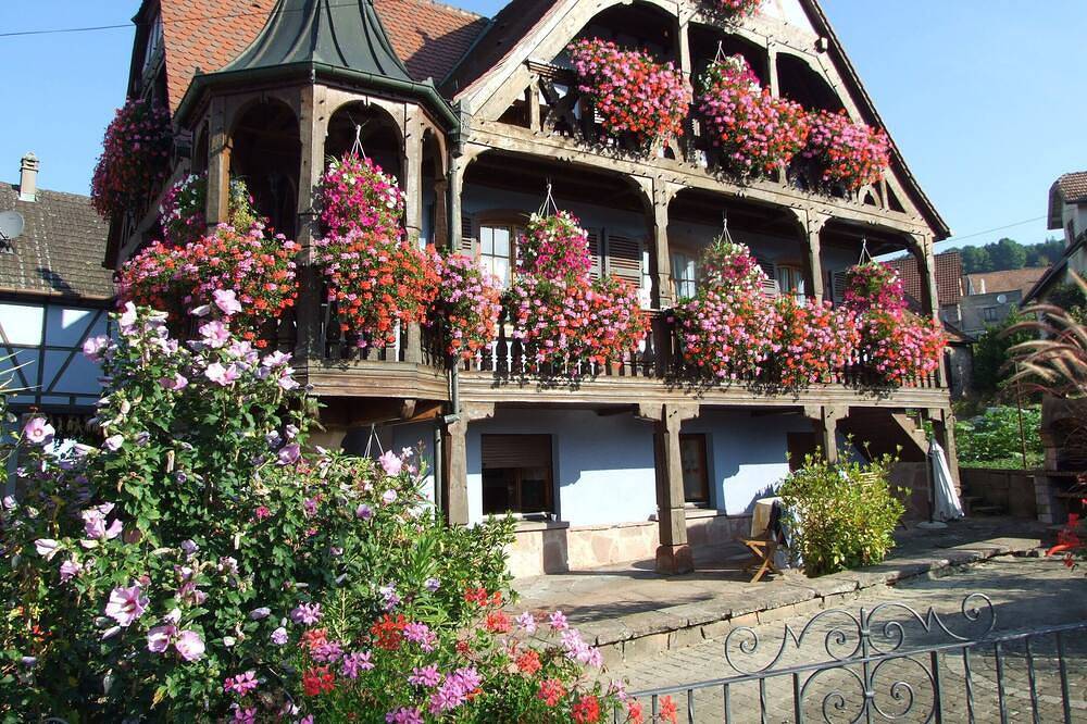 Appartement entier, Gîte  \"Au Vigneron \"  - Spa - 3 Epis in Triembach-au-Val, Région de Sélestat-Erstein