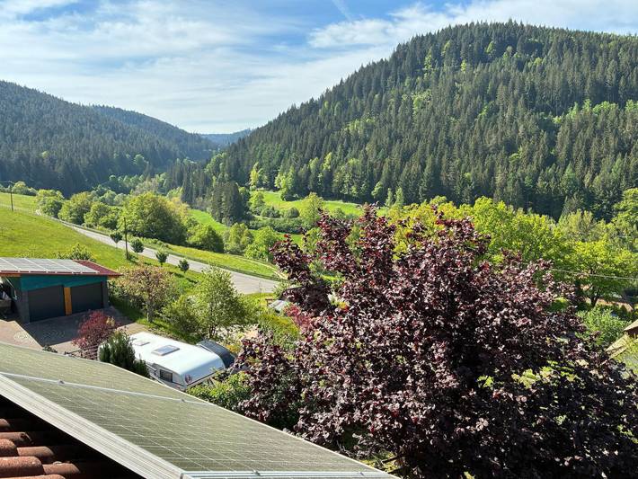 Ferienwohnung für 3 Personen, mit Balkon, kinderfreundlich in Baiersbronn - 4