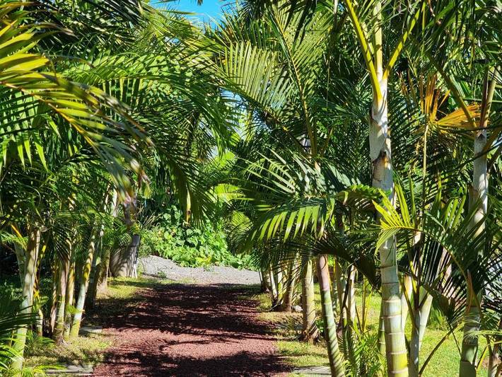 Location de vacances pour 7 personnes, avec vue et jardin dans Le Quatorzieme - 2