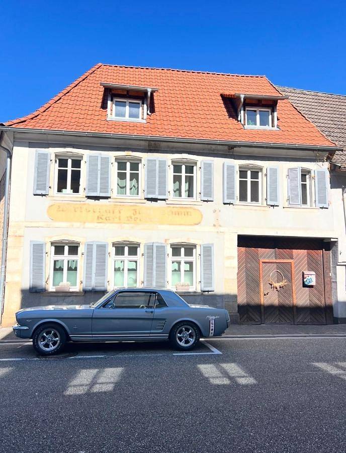 Ferienhaus für 11 Personen, mit Terrasse und Garten sowie Ausblick in Klingenmünster - 3