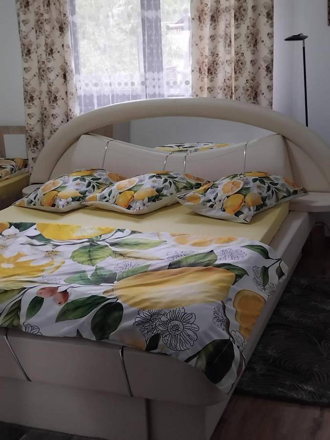 Location de vacances pour 5 personnes, avec jacuzzi et jardin ainsi que piscine et terrasse à Alba (Romania) - 4