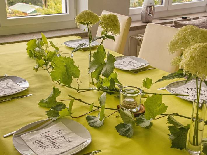 Ferienhaus für 5 Personen, mit Terrasse im Vogtland - 2