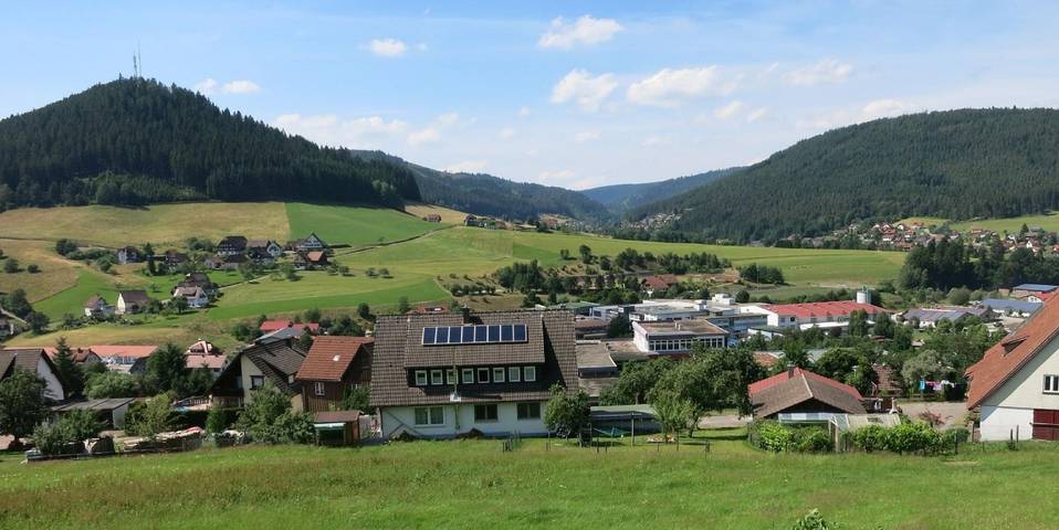 Ferienwohnung für 4 Personen, mit Terrasse und Garten in Nationalpark Schwarzwald - 4
