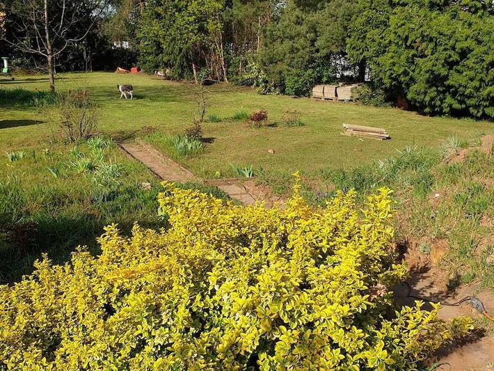 Ferienwohnung für 2 Personen, mit Balkon im Saarland - 4