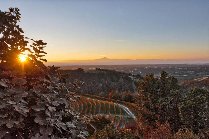 Casa vacanza per 10 persone, con Giardino in Langhe