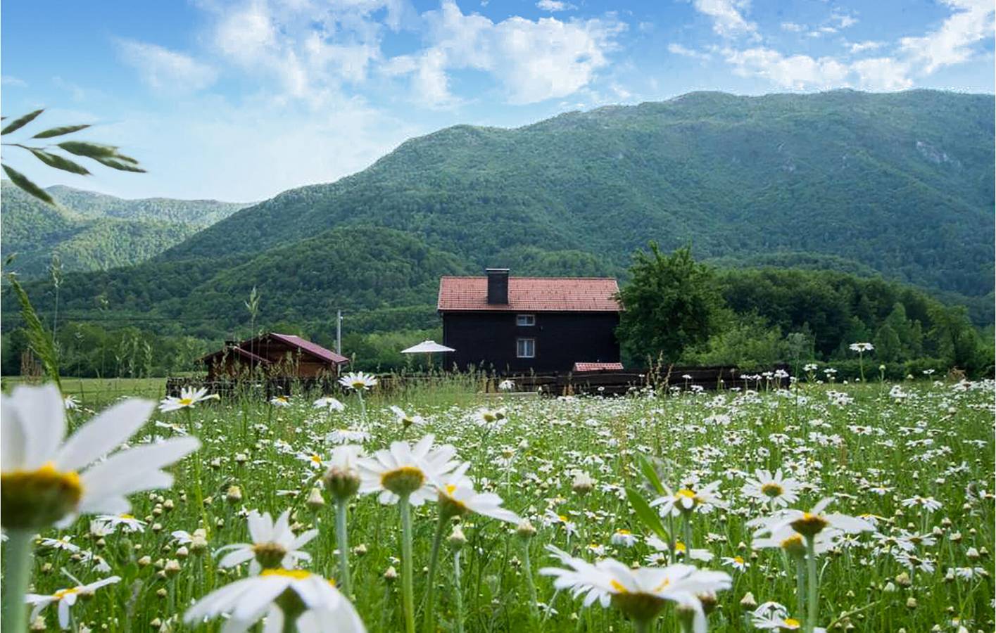 Charmante 250 m² große Wohnung mit Pool, WLAN und Terrasse in Gospitsch, Naturpark Velebit