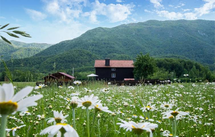 Ferienhaus für 8 Personen, mit Garten und Terrasse sowie Pool - 1