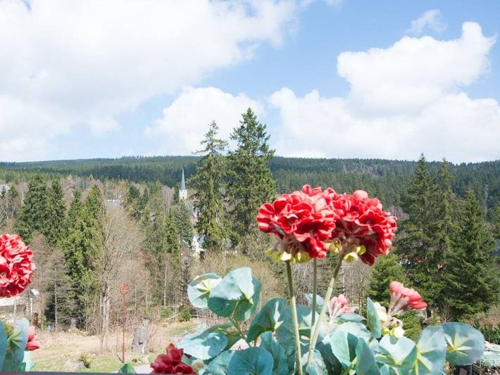 Ferienhaus für 4 Personen, mit Balkon und Terrasse sowie Sauna in Schierke - 2