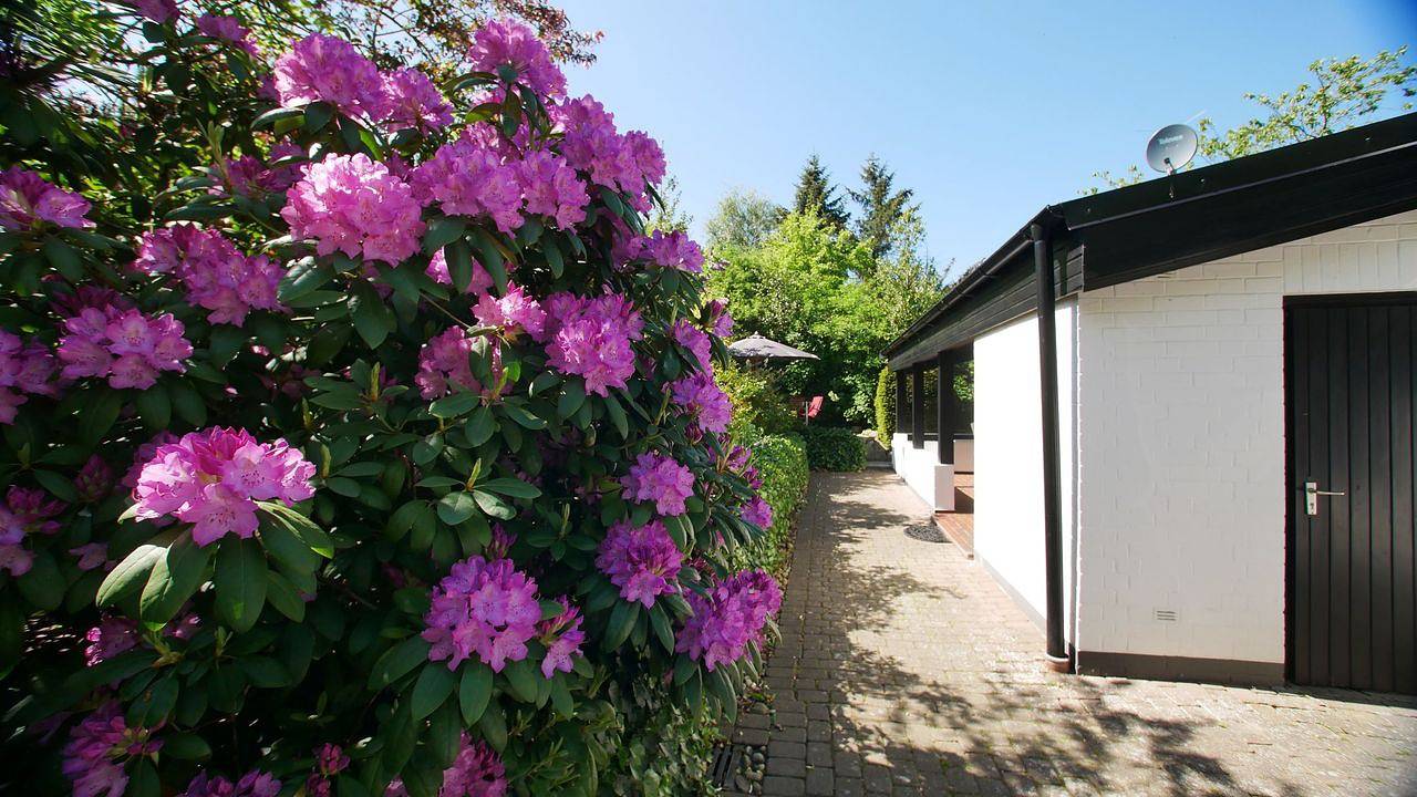 Ferienhaus für 4 Personen (140 m²) in Wyk auf Föhr (Stadt), Wyk auf Föhr