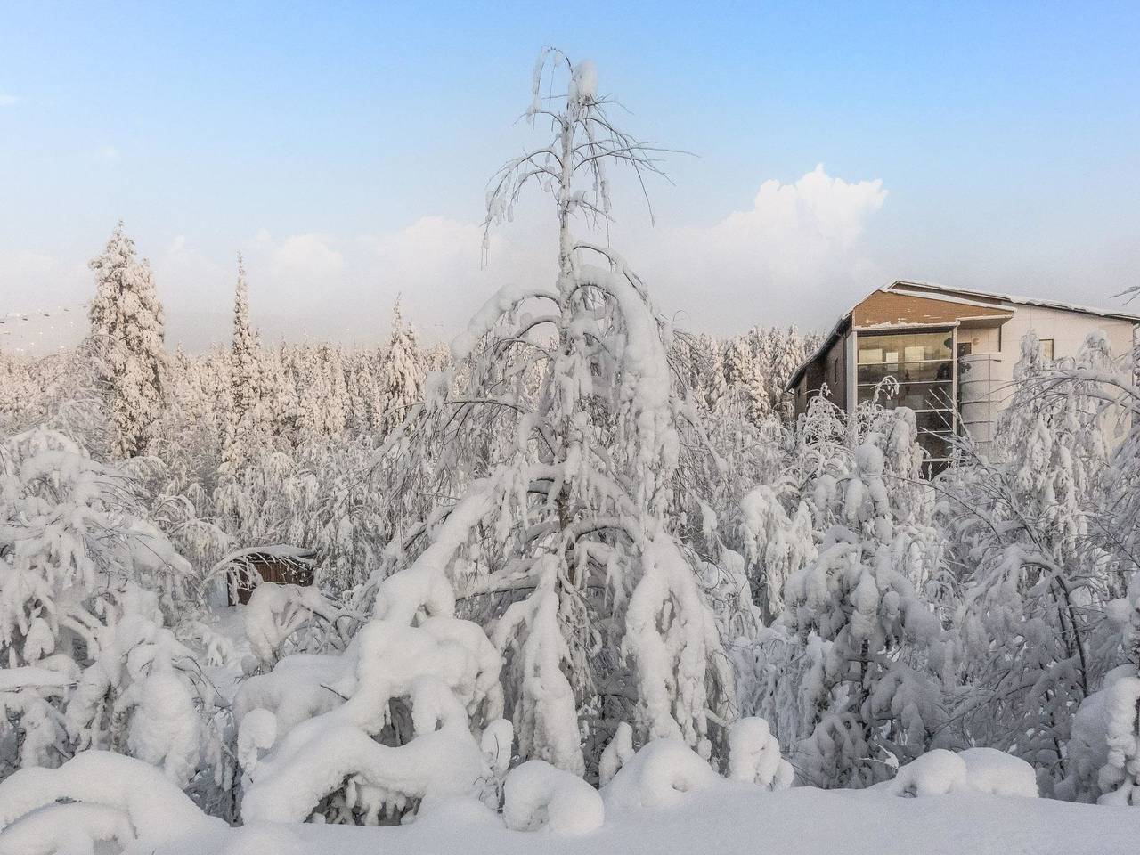 Tievan aurinkorinne dina in Levi