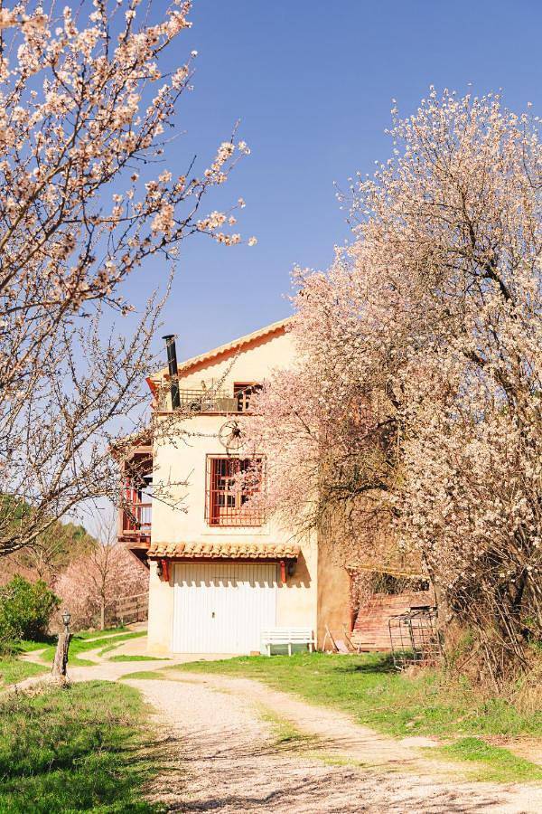 Casa rural para 4 personas, con jardín en Provincia de Cuenca - 3
