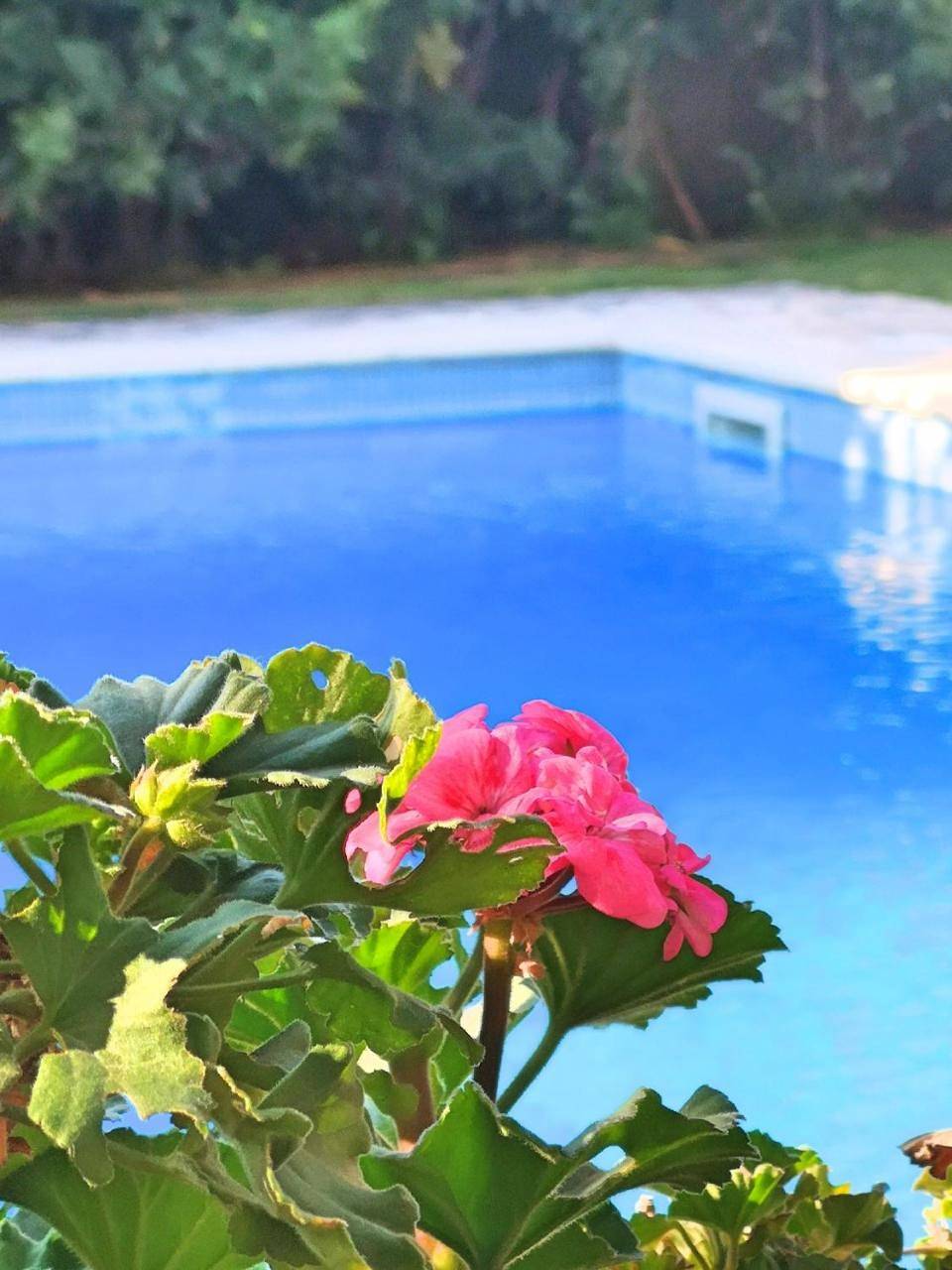 Two-Bedroom Holiday Home in Misterbianco, Catania e dintorni